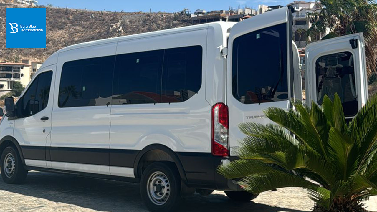 Villa del Palmar Beach Resort and Spa Transportation